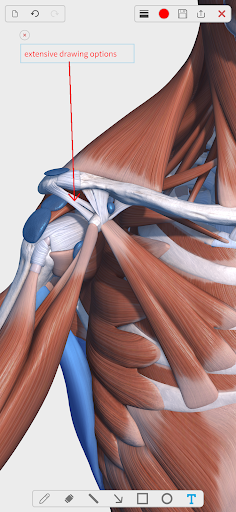 Visual Anatomy 3D - Human body ekran görüntüsü