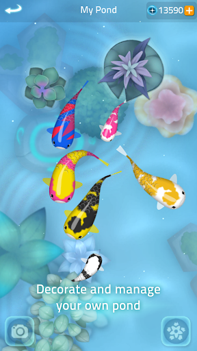 Zen Koi 2 ekran görüntüsü