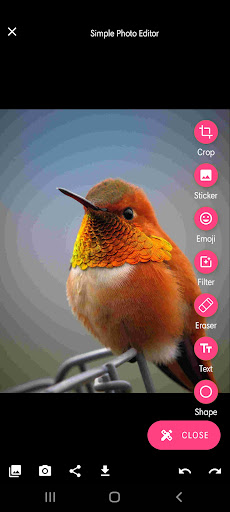 Simple Photo Editor ekran görüntüsü