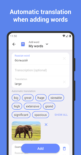 Learn Russian with Flashcards! ekran görüntüsü