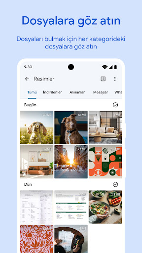 Google Files ekran görüntüsü
