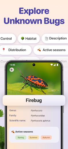 Bug ID - Insect Identifier ekran görüntüsü
