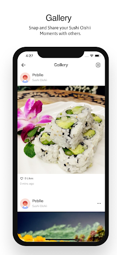 Sushi Oishii ekran görüntüsü