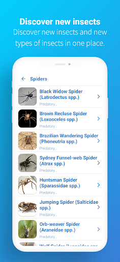 FotoInsect - Bug AI Tanımlayıc ekran görüntüsü