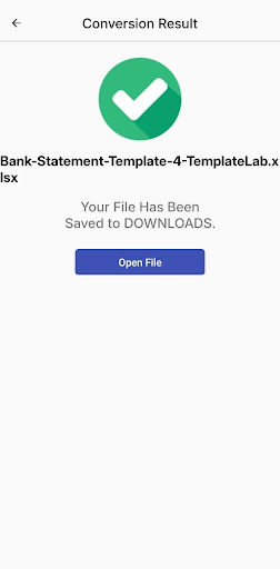 Bank Statement - PDF to XLS ekran görüntüsü