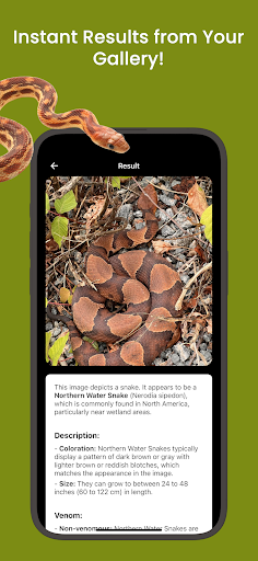 Snake ID - reptile identifier ekran görüntüsü
