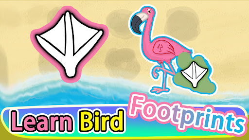 Bird Puzzle Adventure ekran görüntüsü
