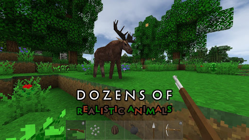 Survivalcraft 2 ekran görüntüsü
