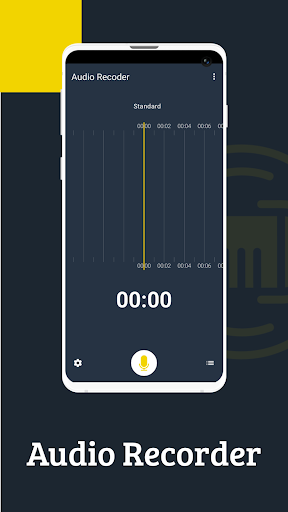 Audio Recorder ekran görüntüsü