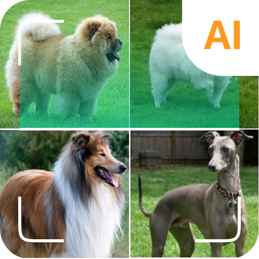 Köpek tanımlayıcı