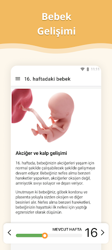 Hamilelik ekran görüntüsü