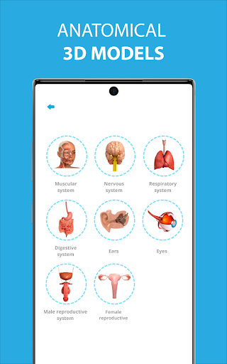 Human Anatomy Learning - 3D ekran görüntüsü