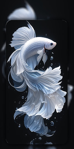 Betta Fish Wallpaper 4K ekran görüntüsü