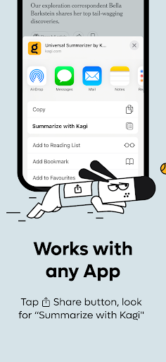 Kagi Summarize ekran görüntüsü