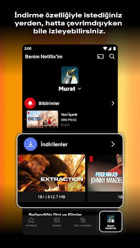 Netflix ekran görüntüsü