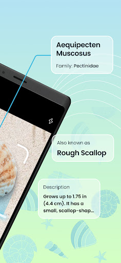 Seashell Identifier App ekran görüntüsü