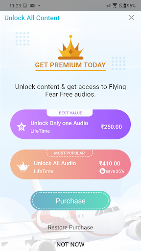 Fear of Flying Meditation MT ekran görüntüsü