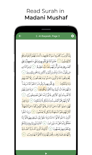 Al Quran Memoriser ekran görüntüsü