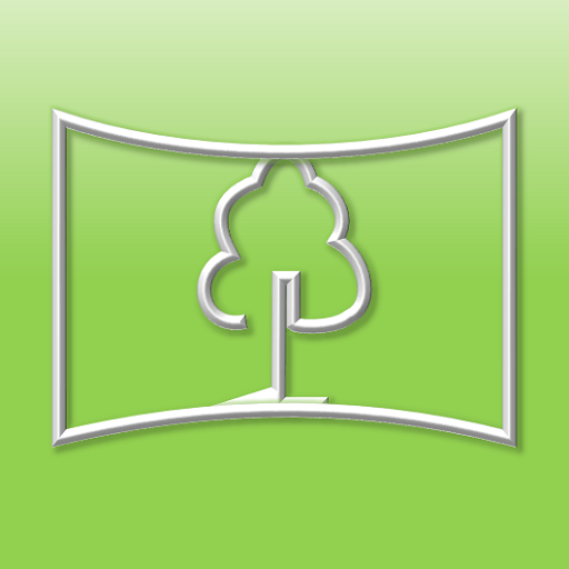 BasalArea