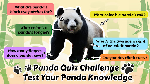 PandaJoy: Panda Lovers' Hub ekran görüntüsü