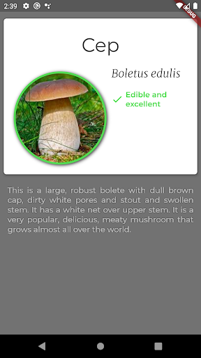 Mushroom Recogniser ekran görüntüsü