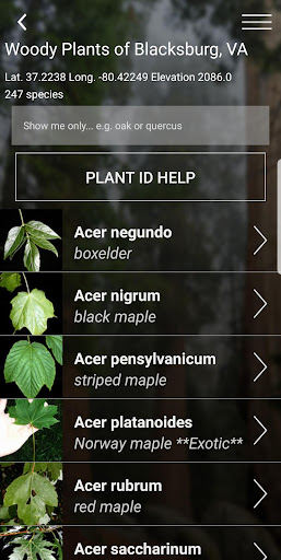 Virginia Tech Tree ID ekran görüntüsü