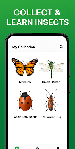 Bug Identifier, Insect Scan ID ekran görüntüsü