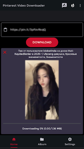 Pinterest Video Downloader ekran görüntüsü