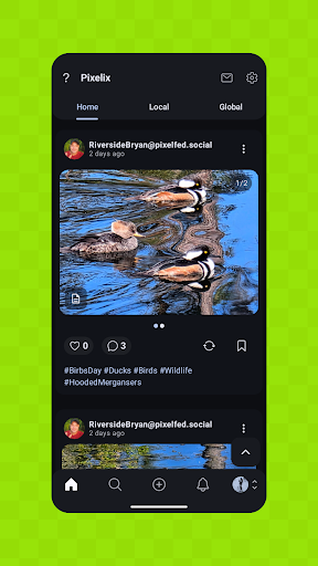 Pixelix - A Pixelfed Client ekran görüntüsü