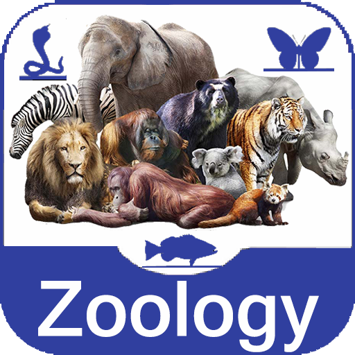 Zoology Study