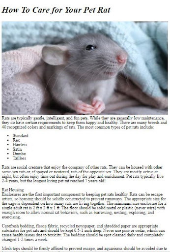 Pet Rat Care Guide ekran görüntüsü