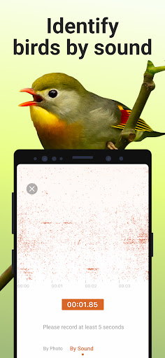 Picture Bird - Bird Identifier ekran görüntüsü