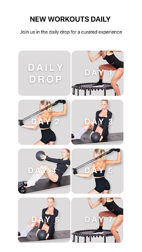 LEKFIT online studio ekran görüntüsü