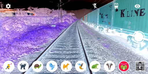 Animal Vision : OpenCV Filters ekran görüntüsü