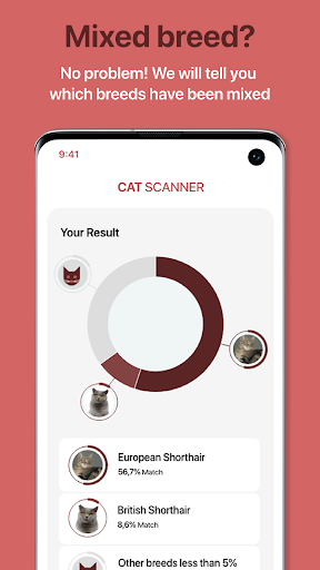 Cat Scanner: Breed Recognition ekran görüntüsü