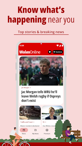 Wales Online ekran görüntüsü