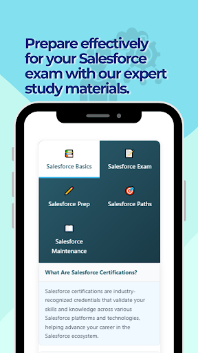 Salesforce Practice Test ekran görüntüsü