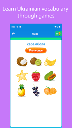 Learn Ukrainian For Beginners ekran görüntüsü