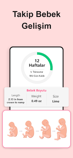 Gebelik Hesaplama ve Takibi ekran görüntüsü