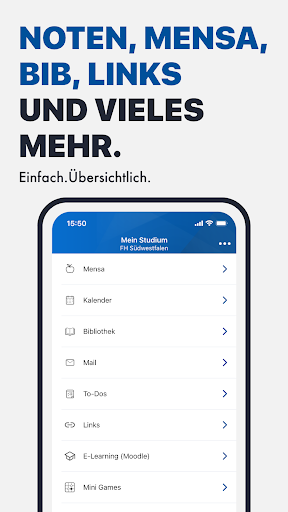 FH SWF ekran görüntüsü