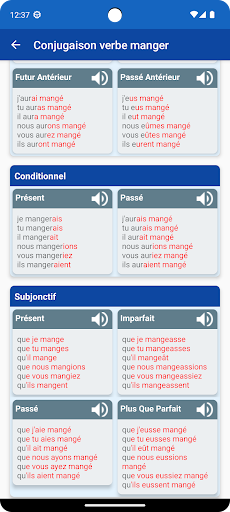 Conjugaison Verbes Français ekran görüntüsü