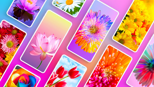 Flower Wallpapers 4K ekran görüntüsü
