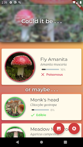 Mushroom Recogniser ekran görüntüsü