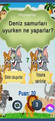 Cevap Sende ekran görüntüsü