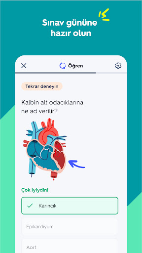 Quizlet: Yapay Zeka ile öğren ekran görüntüsü