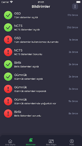 Gümrük Sistem Durumu ekran görüntüsü
