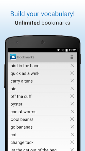 Idioms and Slang Dictionary ekran görüntüsü
