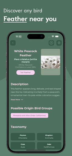 Feather Identifier ekran görüntüsü