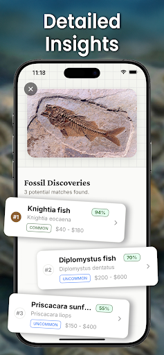Fossil Identifier: Bone ID ekran görüntüsü