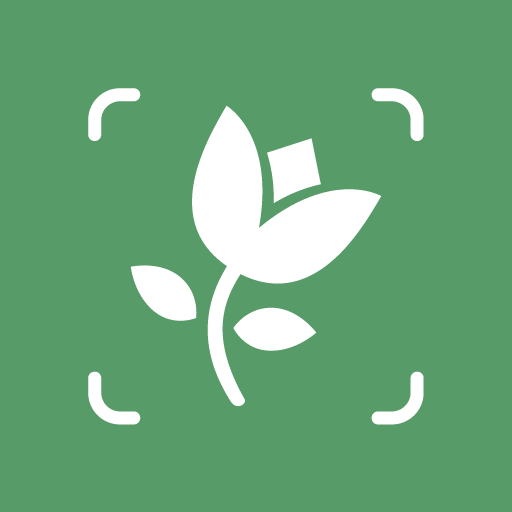 Bitki Tanımlayıcısı: Bitki App